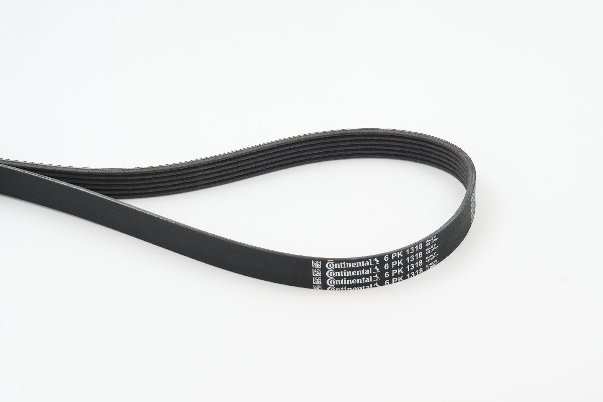 BELTPIC_6PK1318