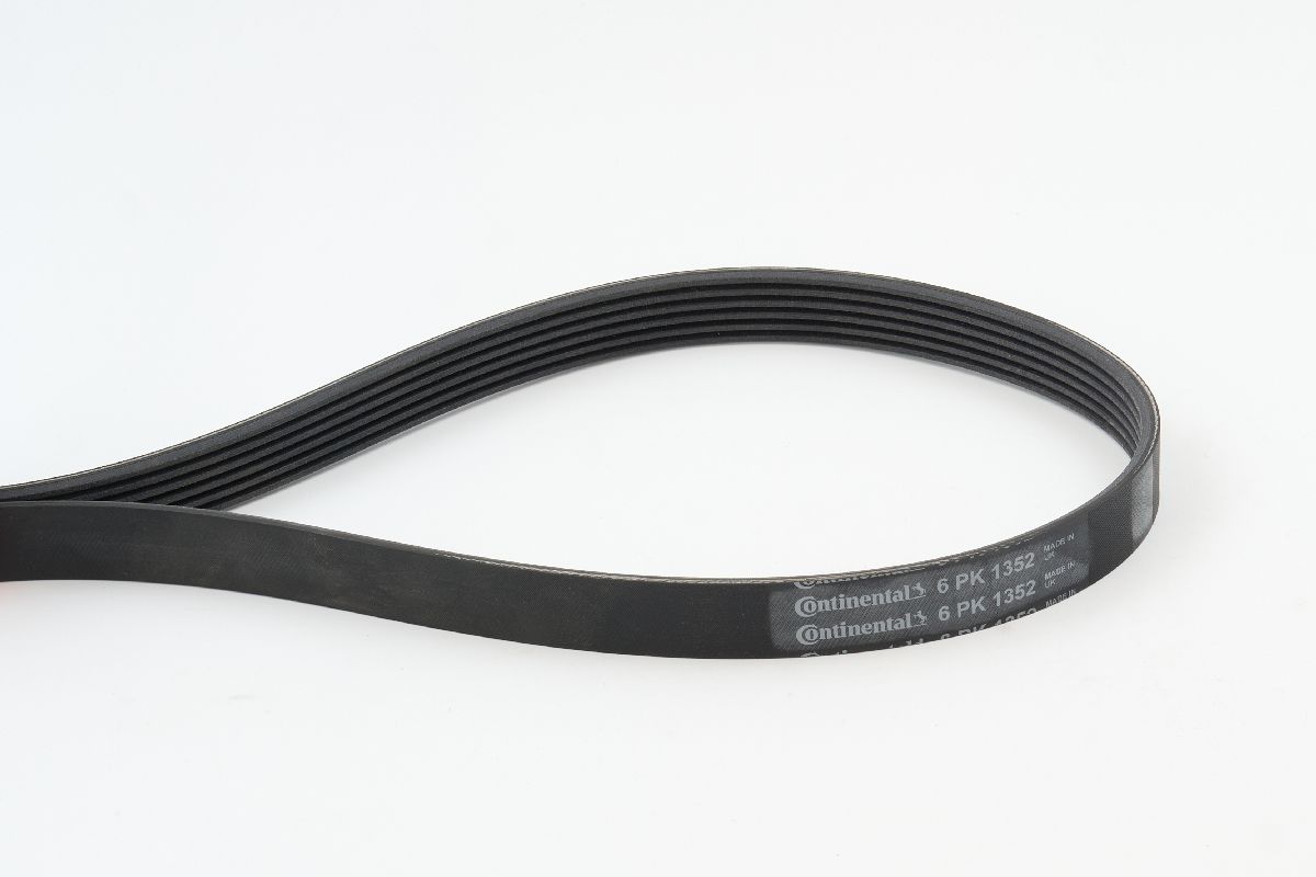 BELTPIC_6PK1352