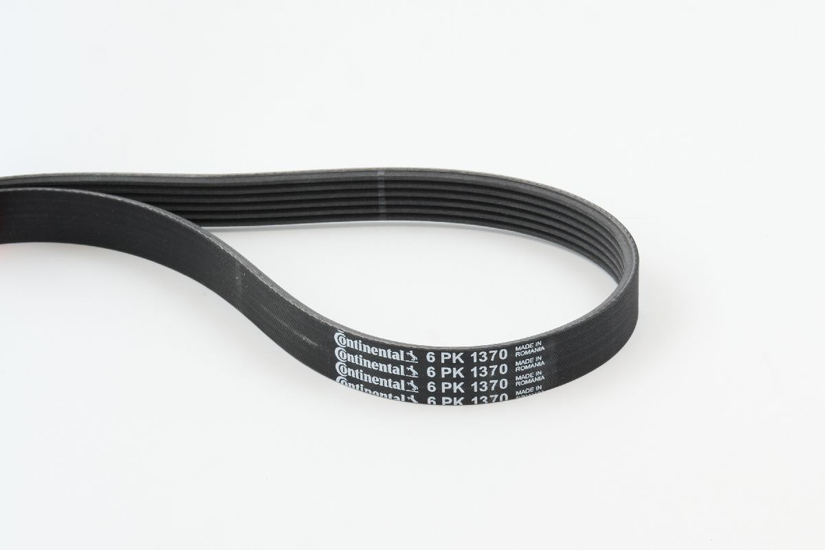 BELTPIC_6PK1370