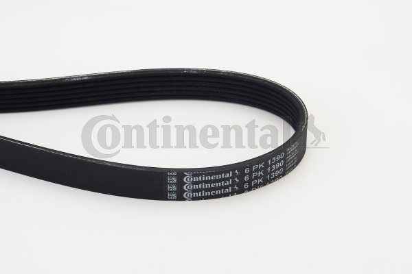 BELTPIC_6PK1390