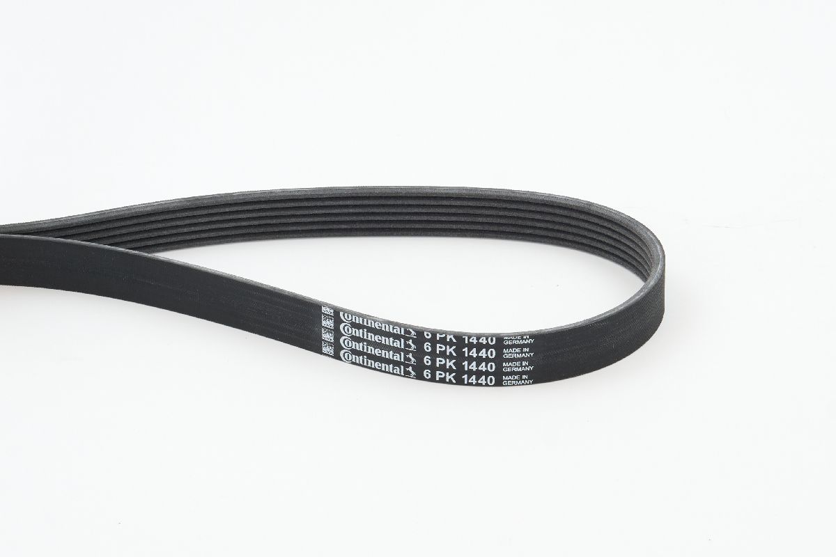 BELTPIC_6PK1440
