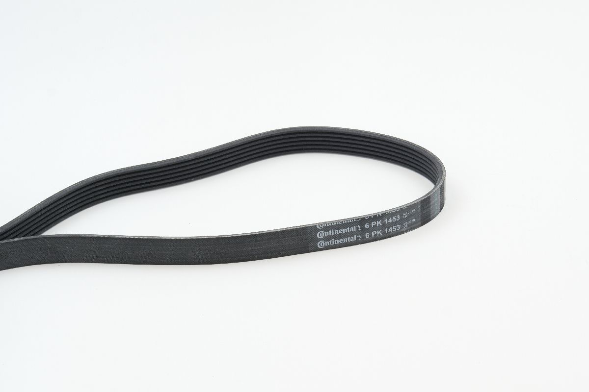 BELTPIC_6PK1453