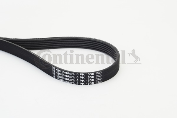 BELTPIC_6PK1538