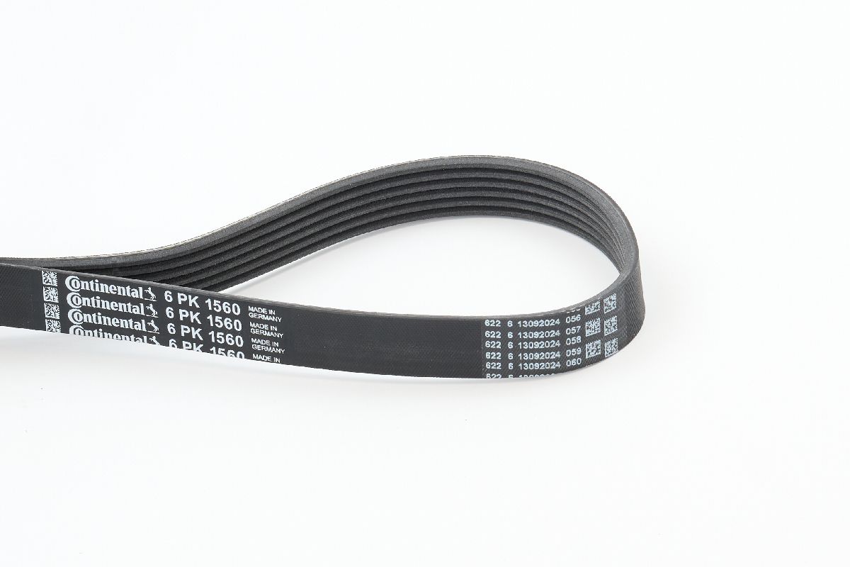 BELTPIC_6PK1560