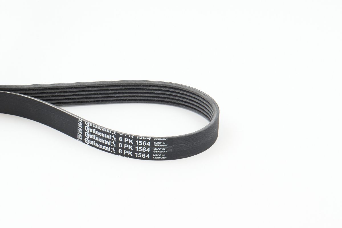 BELTPIC_6PK1564