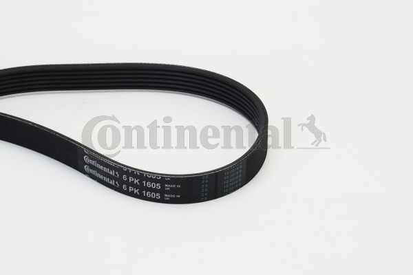 BELTPIC_6PK1605