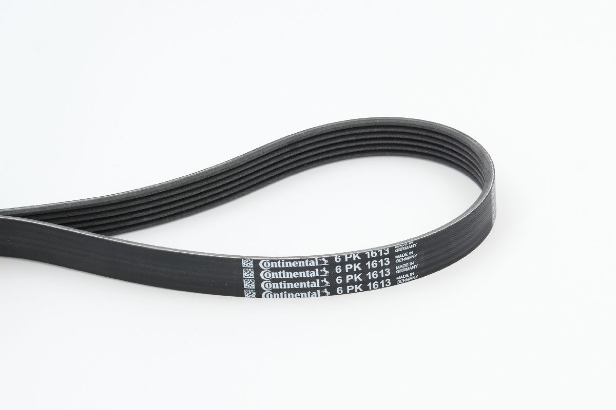 BELTPIC_6PK1613