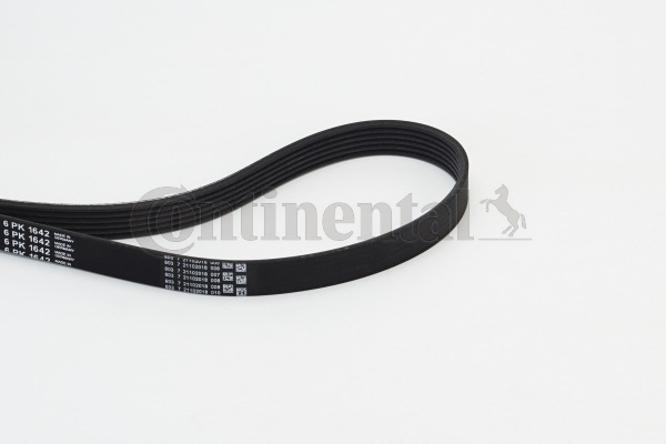 BELTPIC_6PK1642