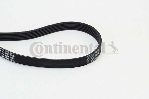 BELTPIC_6PK1660