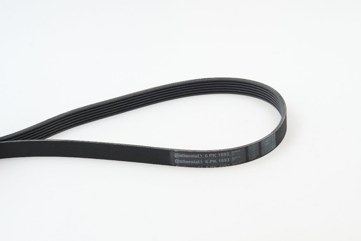 BELTPIC_6PK1693