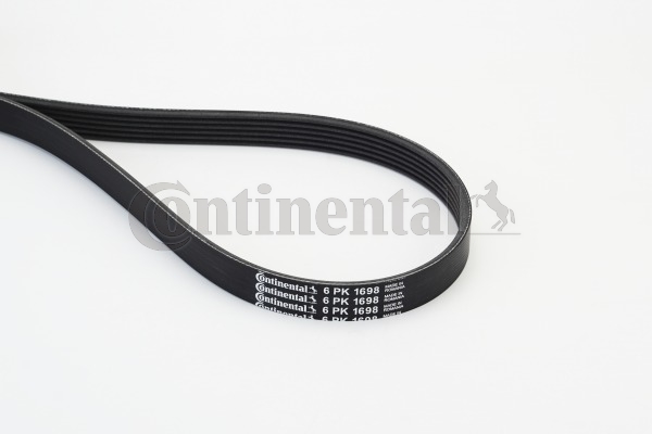 BELTPIC_6PK1698