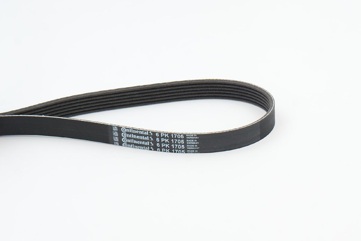 BELTPIC_6PK1705