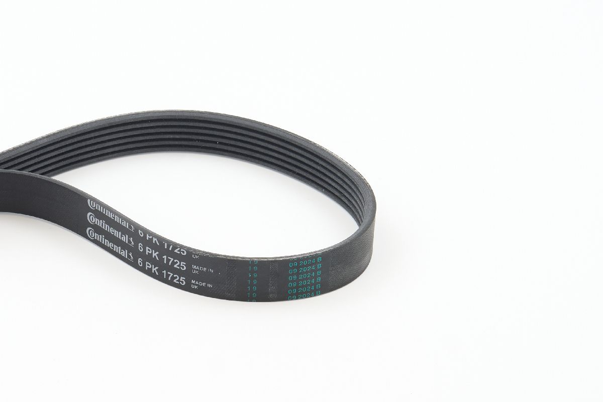 BELTPIC_6PK1725