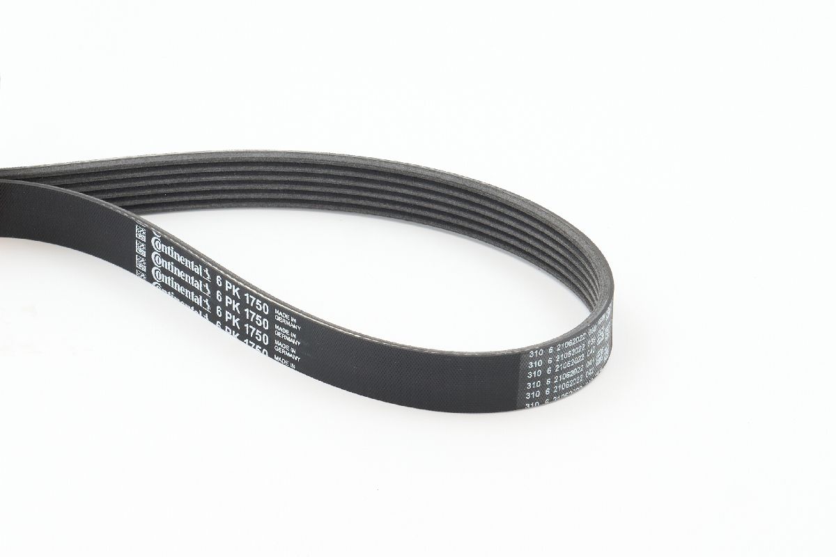 BELTPIC_6PK1750
