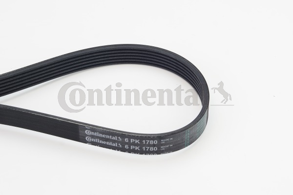BELTPIC_6PK1780