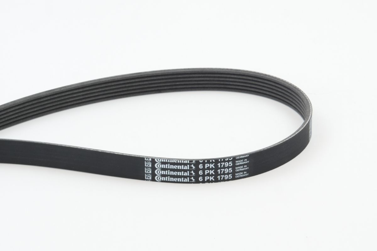 BELTPIC_6PK1795