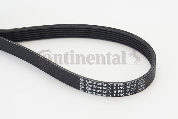 BELTPIC_6PK1870