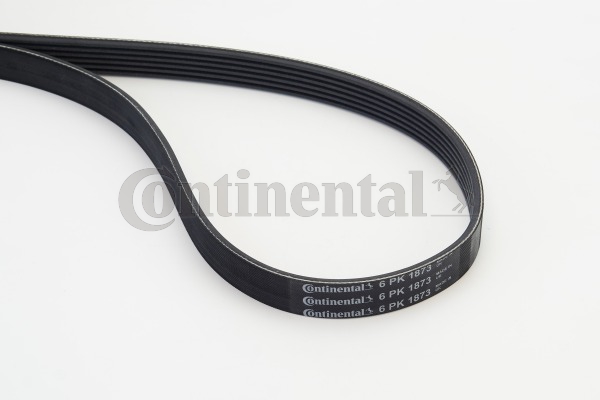 BELTPIC_6PK1873