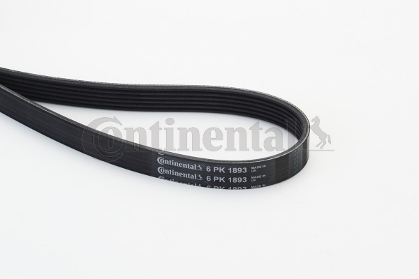 BELTPIC_6PK1893