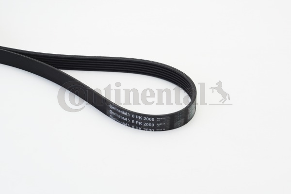 BELTPIC_6PK2000