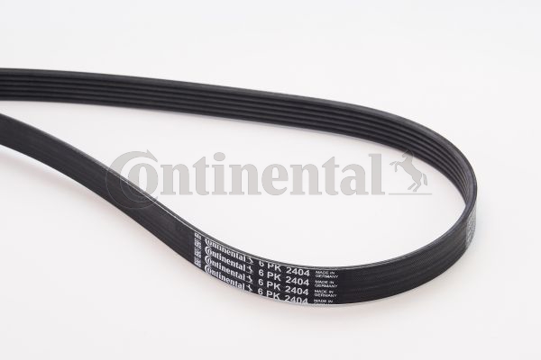 BELTPIC_6PK2404