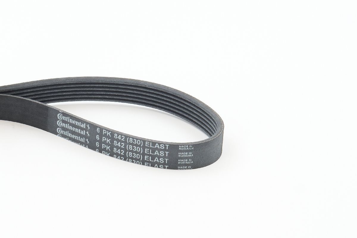 BELTPIC_6PK842 ELAST