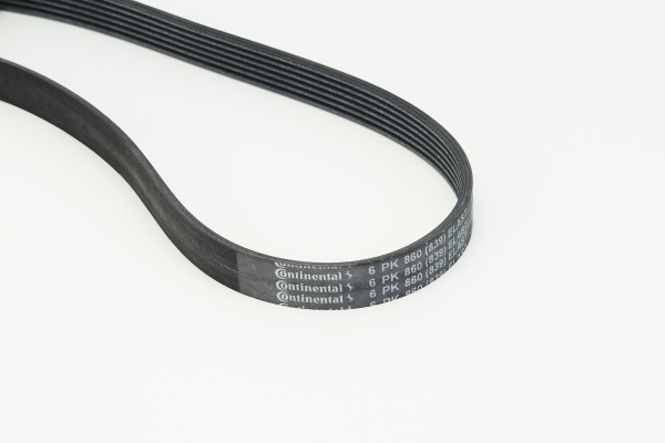 BELTPIC_6PK860 ELAST
