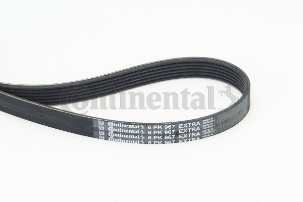 BELTPIC_6PK967