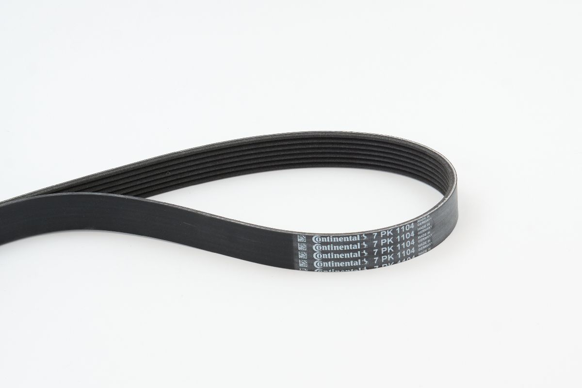 BELTPIC_7PK1104