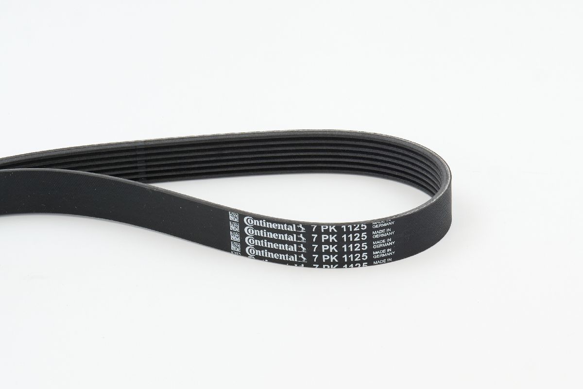 BELTPIC_7PK1125