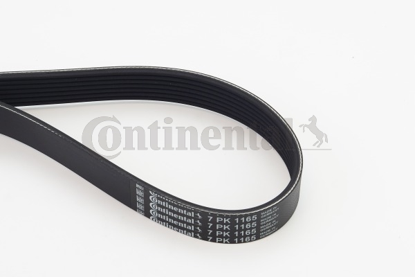 BELTPIC_7PK1165