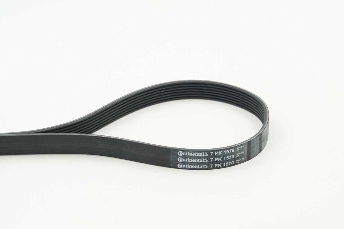 BELTPIC_7PK1570