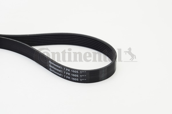 BELTPIC_7PK1605