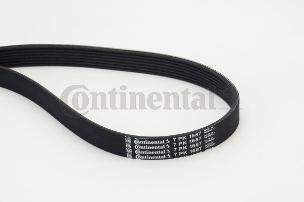 BELTPIC_7PK1687