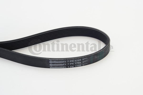 BELTPIC_7PK1705