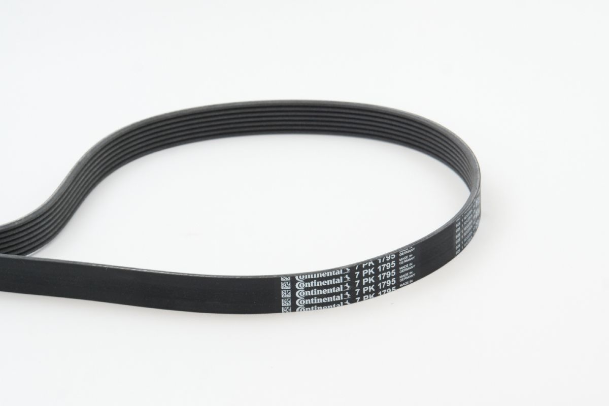 BELTPIC_7PK1795