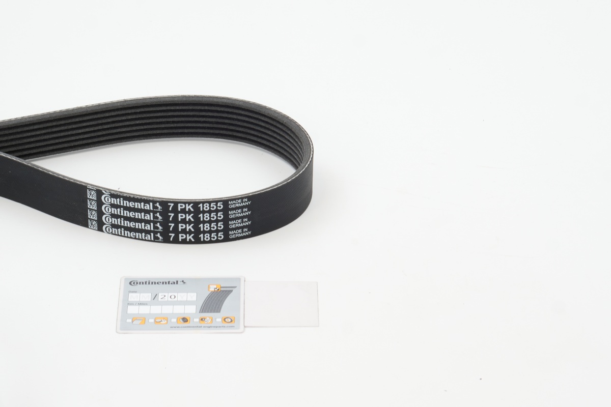 BELTPIC_7PK1855