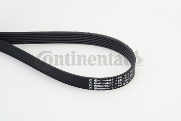 BELTPIC_7PK1970