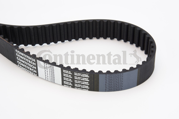 BELTPIC_CT1010
