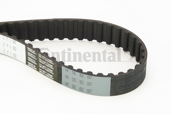 BELTPIC_CT1012