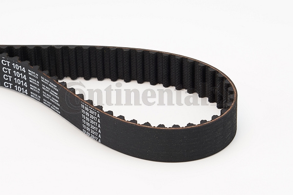 BELTPIC_CT1014