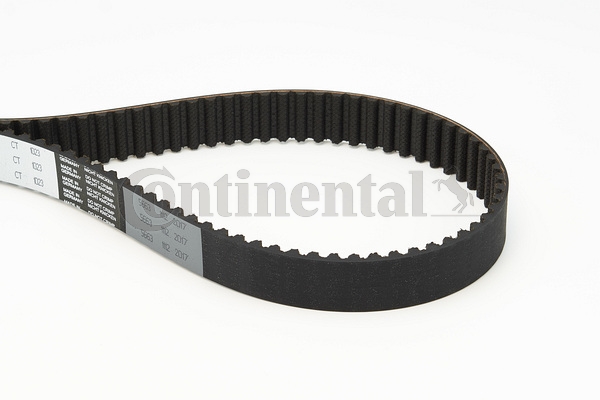 BELTPIC_CT1023