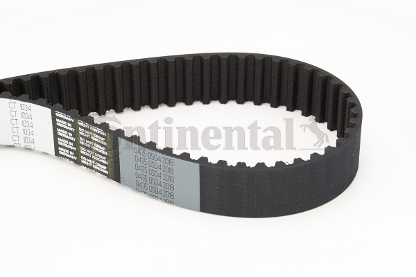 BELTPIC_CT1034