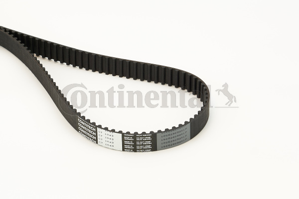 BELTPIC_CT1043