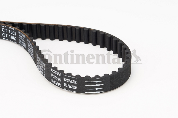 BELTPIC_CT1067
