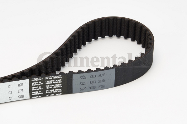 BELTPIC_CT1078