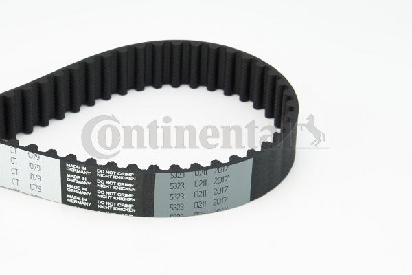 BELTPIC_CT1079
