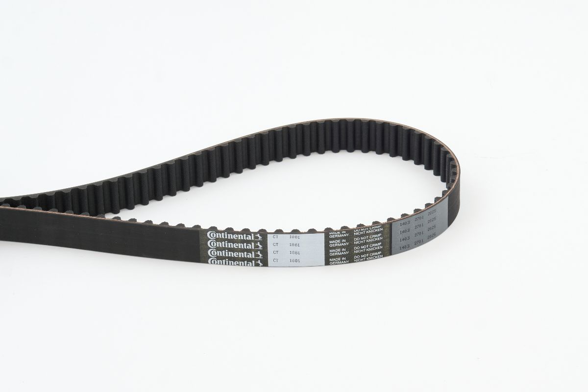 BELTPIC_CT1081