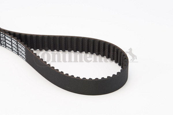 BELTPIC_CT1088