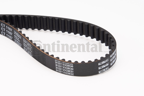 BELTPIC_CT1107